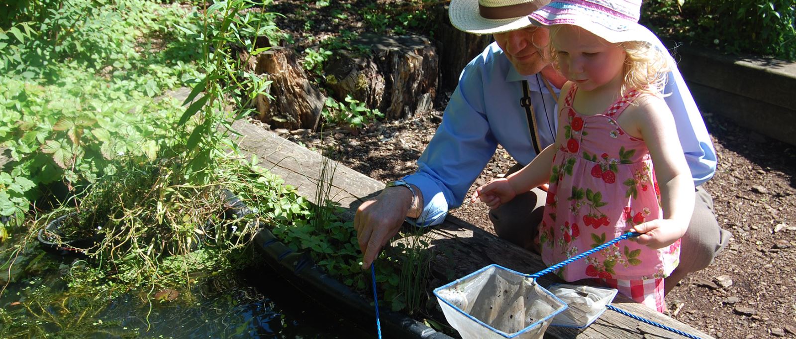 Pond dipping at Sir Harold Hillier Gardens, Hampshire